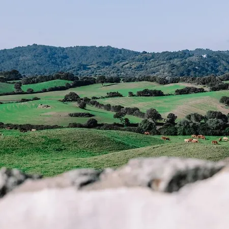Bini Aumaia * אס מרקדל