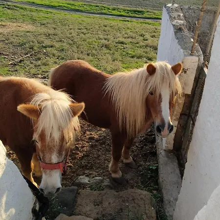 Bini Aumaia בית כפרי אס מרקדל