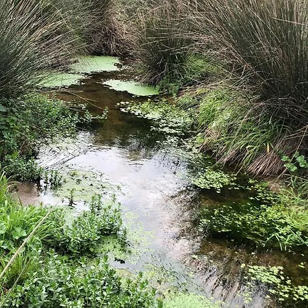 Bini Aumaia Casa rural