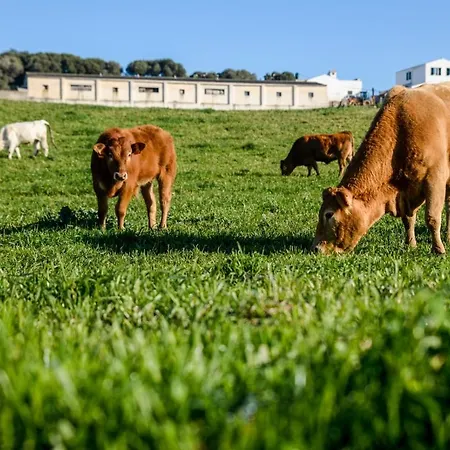 Bini Aumaia Es Mercadal