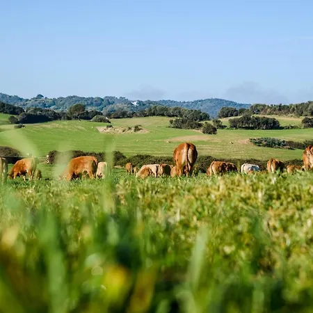 Casa rural Bini Aumaia