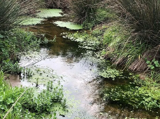 Bini Aumaia Landsted