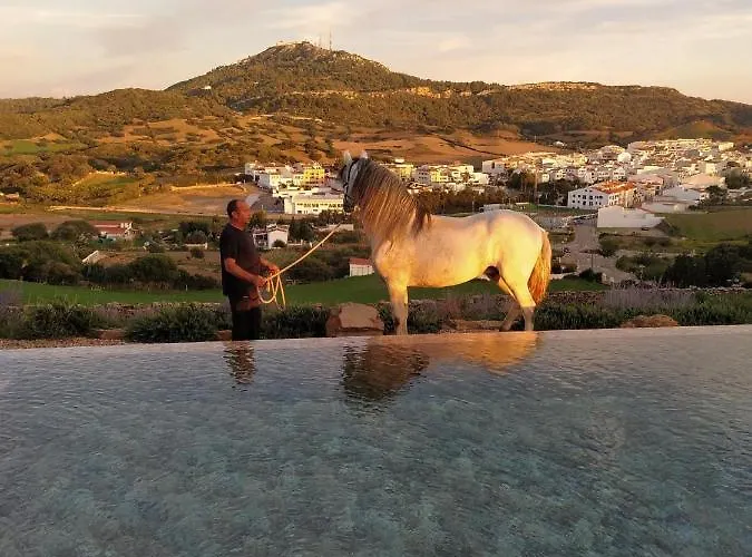 Bini Aumaia בית כפרי אס מרקדל