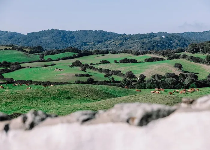 Bini Aumaia * אס מרקדל
