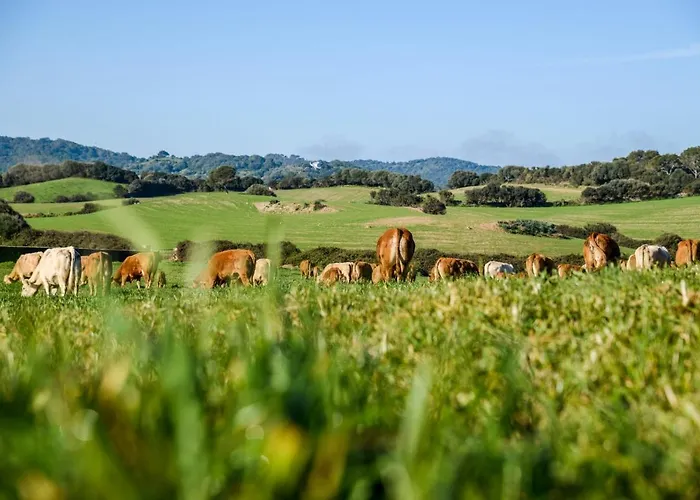 בית כפרי Bini Aumaia