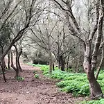 Bini Aumaia