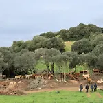 Bini Aumaia