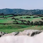 Bini Aumaia * Es Mercadal