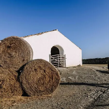 Bini Aumaia Casa rural *
