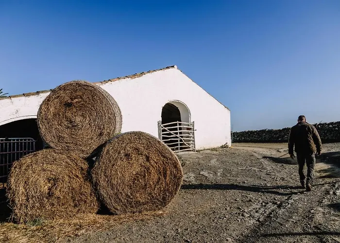 Bini Aumaia Casa rural *